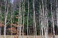 2018_02_24_Lac des Settons (0041)